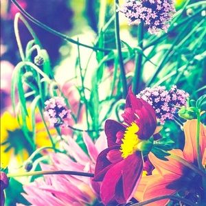 Meet your Posher, Amelia